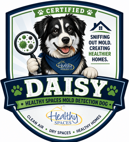 How Does A Mold Dog Actually Work?