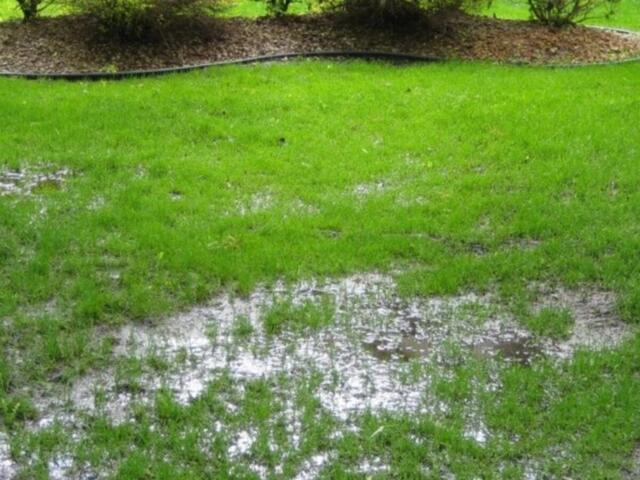 How to Remove Water from a Yard with No Slope: The Best Outdoor Drainage So...