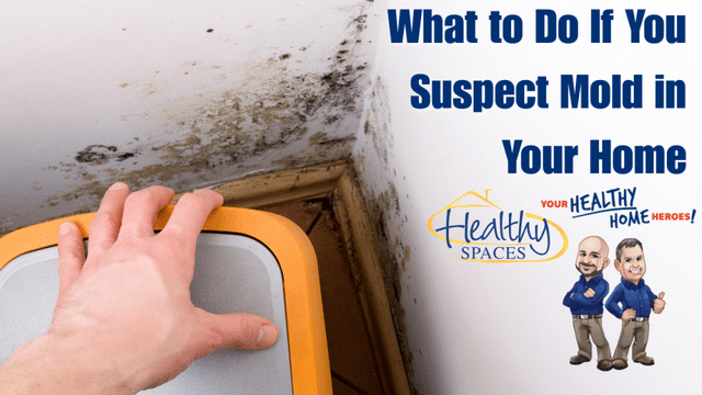 What to Do If You Suspect Mold in Your Home