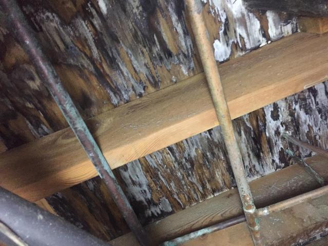 What to Do in the First Two Days After Water Damage - Image 1