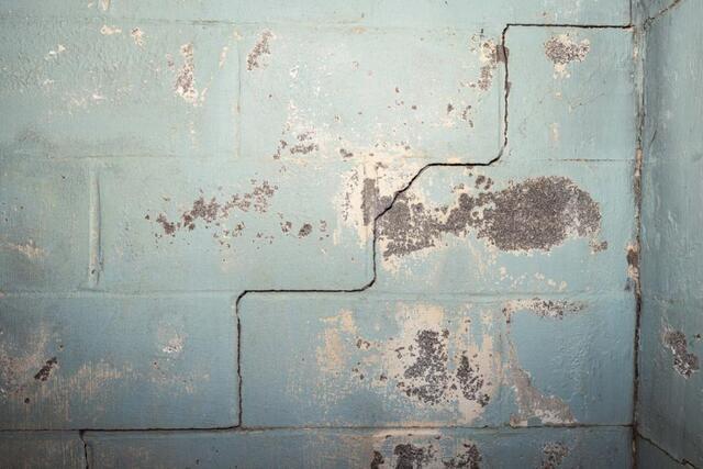 Foundation Focus: Signs of Foundation Damage
