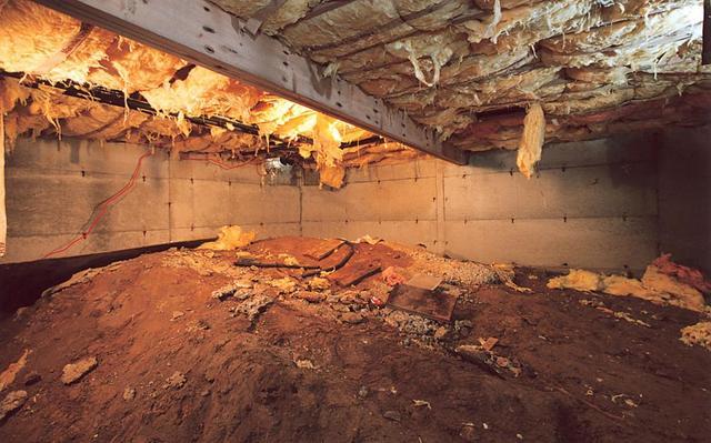 How to Get Rid of Mold in Your Home: Crawl Space Solutions and UV Light - Image 1