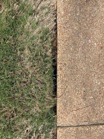 Concrete Voids Under Driveway? See How Donna Took Action in Cordova, TN - Image 2