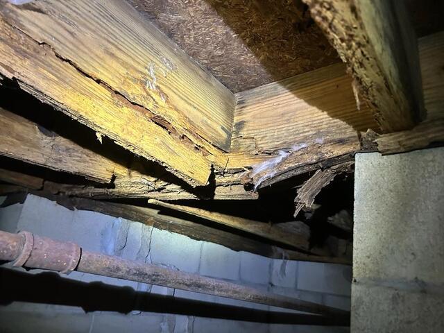 Crawlspace Moisture Caused Floor Failure in Corinth, MS Home - Here\'s How We Fixed It - Image 2