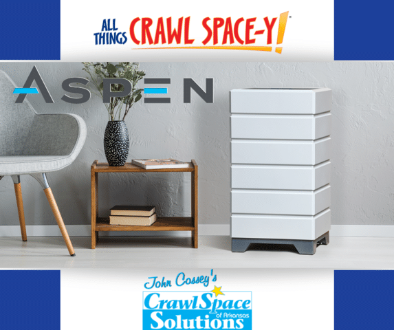 Fall Allergies in Arkansas