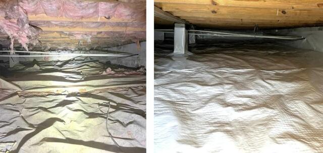 Mold In Your Home