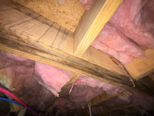What\'s Causing My Crawl Space Joists to Rot? - Image 3