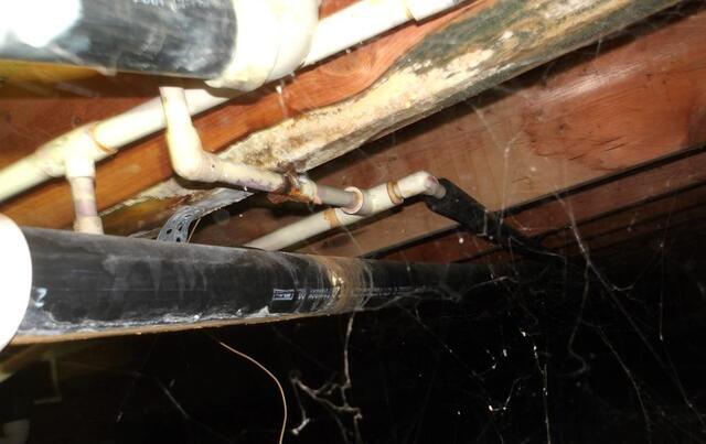 Why Ignoring Mold Spores in Your Crawl Space Is a Bad Idea - Image 3