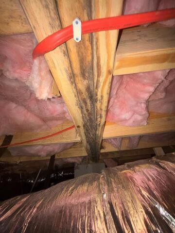 What's Causing My Crawl Space Joists to Rot?