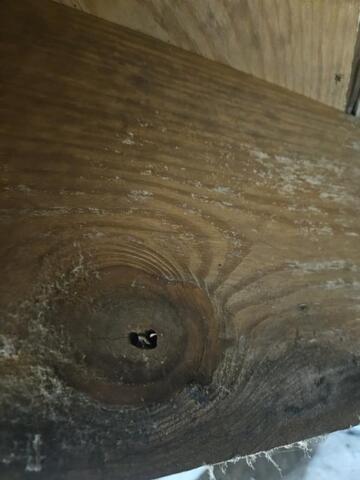 Soda Blasting Technique for Mold Removal - Image 3
