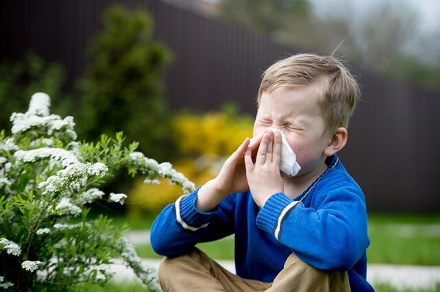 boy with spring allergies