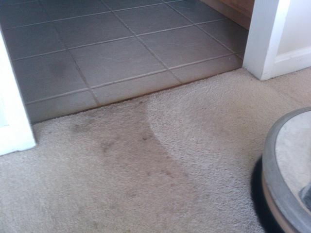 How to Remove Motor Oil from the Carpet