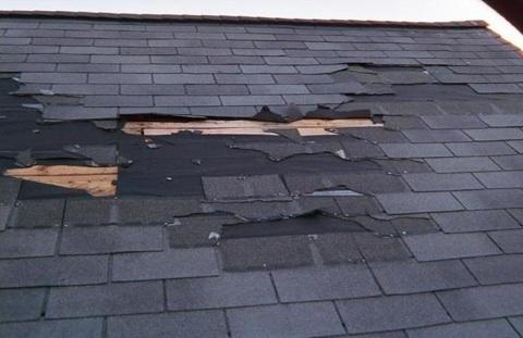 Preventative Care for Your Roof