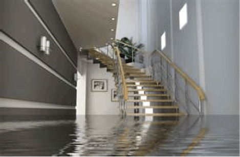 Water Damage Information and Tips