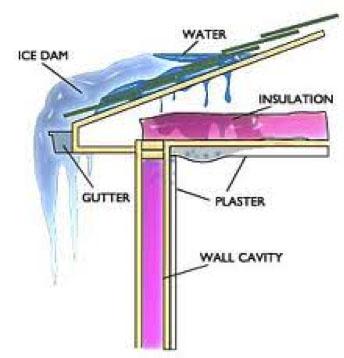 Gutter Maintenance: A Little Prevention Goes a Long Way