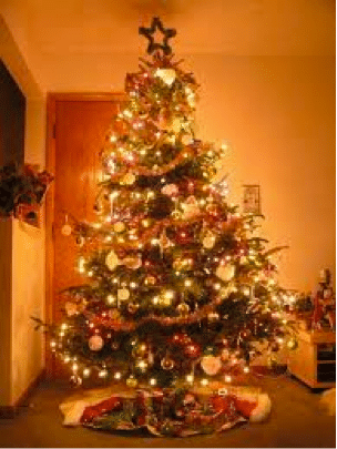 Christmas Tree Safety 
