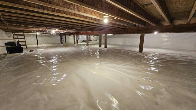 How Moldy and Damp Crawl Spaces Affect Your Health and Home - Image 4