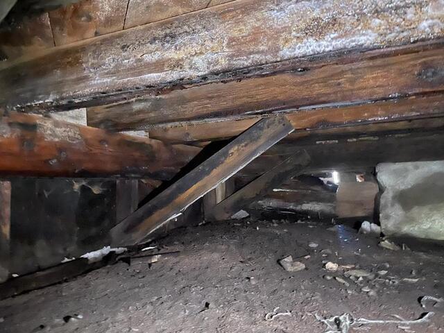How Moldy and Damp Crawl Spaces Affect Your Health and Home - Image 2