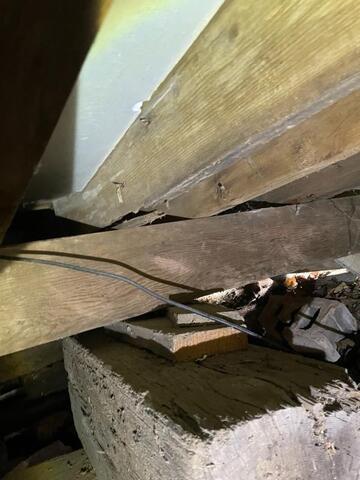 How Moldy and Damp Crawl Spaces Affect Your Health and Home - Image 2