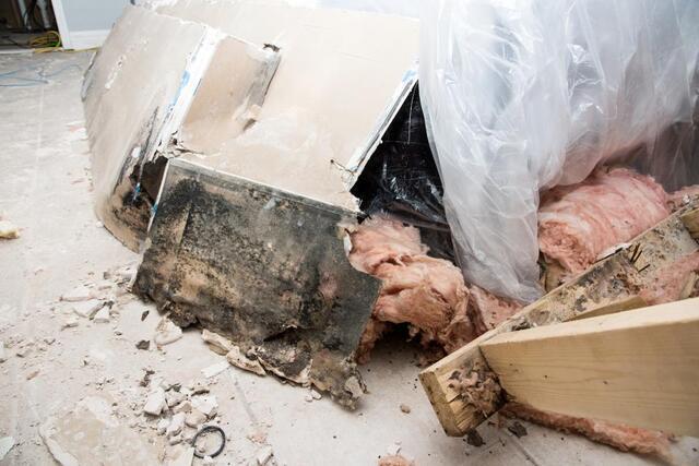 Humidity & Mold In the Spring & Summer - Image 3