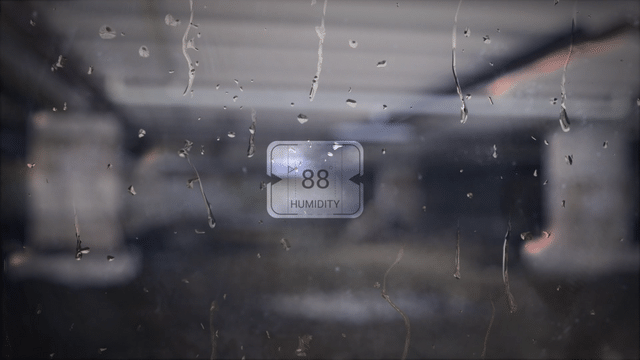 Humidity & Mold In the Spring & Summer - Image 3