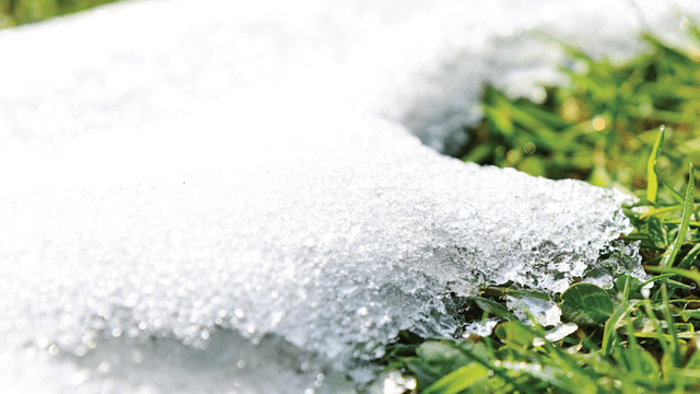 The Big Thaw: Protecting Your Home from Springtime Snow Melt