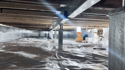 The Basement Doctor of Cincinnati - August 2025 Project Roundup - Image 1