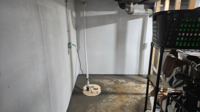 The Basement Doctor of Cincinnati - August 2025 Project Roundup - Image 7