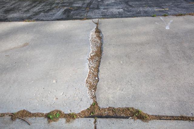 This pitting concrete walkway has been damaged by years of water damage