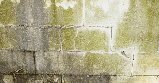 Bowing basement walls are a sign of structural failure. 