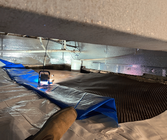 The Basement Doctor of Cincinnati - September 2025 Project Roundup - Image 3