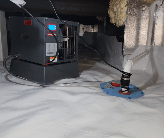 The Basement Doctor of Cincinnati - September 2025 Project Roundup - Image 2
