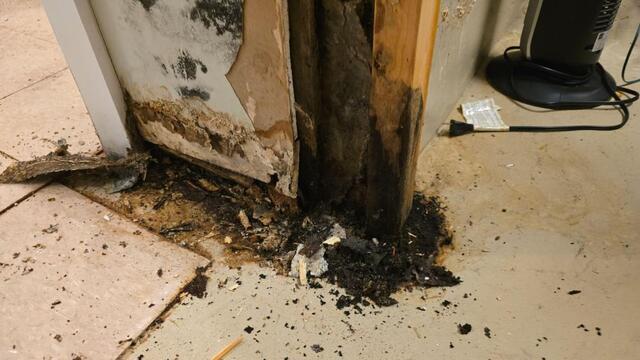 What to Do If You Suspect Moisture or Mold Concerns in Winter