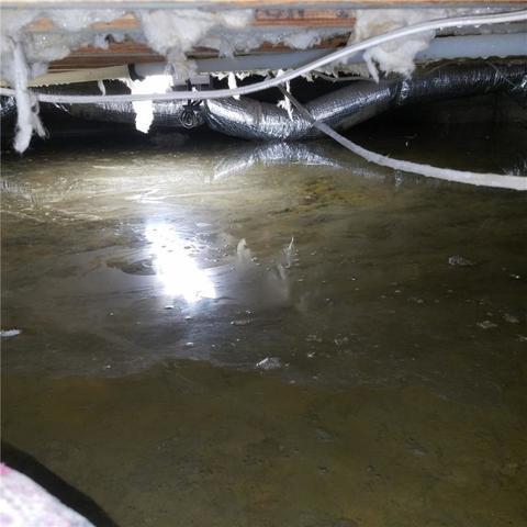 Job Spotlight: Waterproofing and Dehumidifying a Large Crawl Space in Long Beach, Ca.