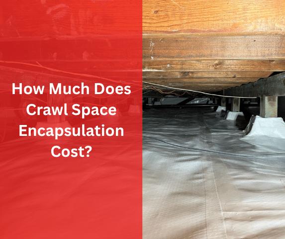 How Much Does Crawl Space Encapsulation Cost?