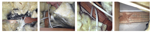 Air Leaks; Cracks, Gaps, Wire & Pipe Penetrations ans Etc...