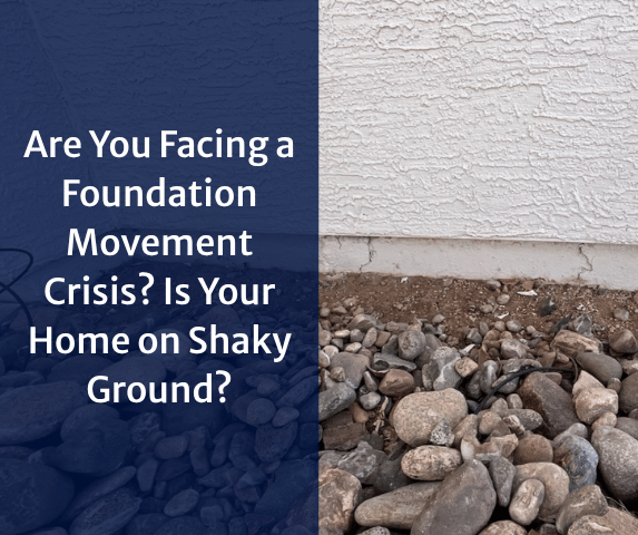Foundation Movement Assessment & Specialist Credentials Guide