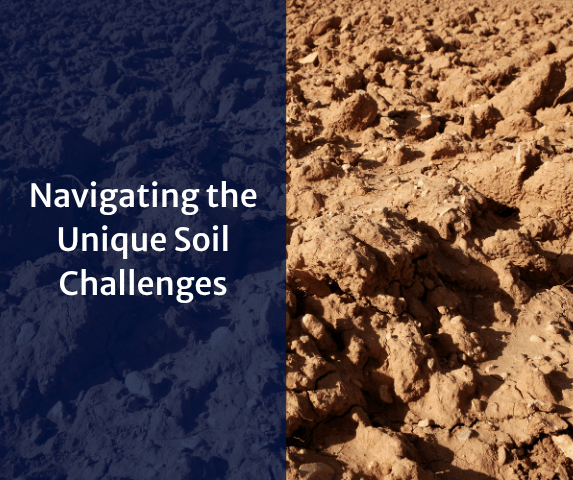 From Fissures to Fixtures: Navigating the Unique Soil Challenges with Rosie...