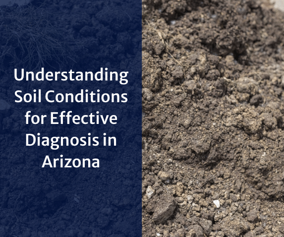 Exploring Foundation Investigations: Understanding Soil Conditions for Effe...
