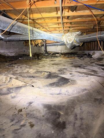 The Hidden Cost Of Ignoring Your Crawl Space