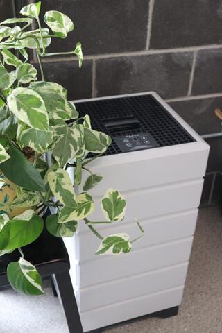 Eliminate Wildfire Smoke and Air Pollution In Your Home With the Aspen Air ...