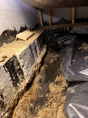 How Does Water Vapor Get Into Your Crawl Space?