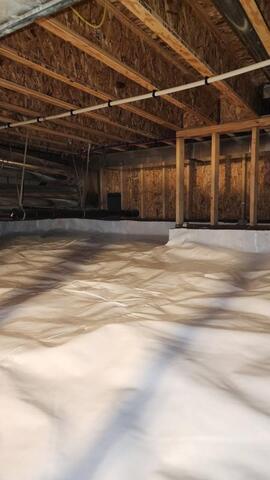 What Are Dust Mites-And What Do They Have To Do With My Crawl Space? - Image 2