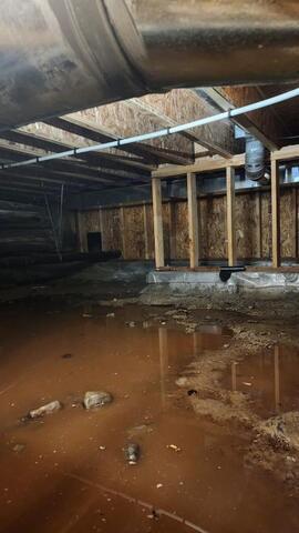 What Are Dust Mites-And What Do They Have To Do With My Crawl Space?