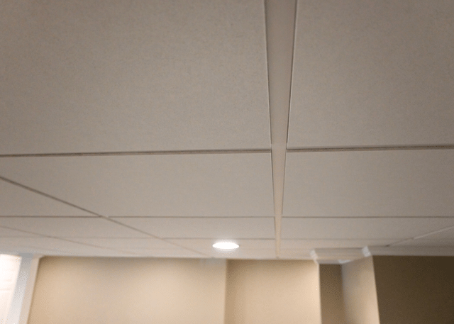 Basement Gym Design Ideas - Image 5