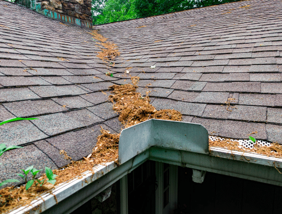 Introducing the SlowFlo: A Smarter Way to Manage Roof Valley Water - Image 2