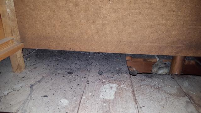 dirt under a built-in dresser