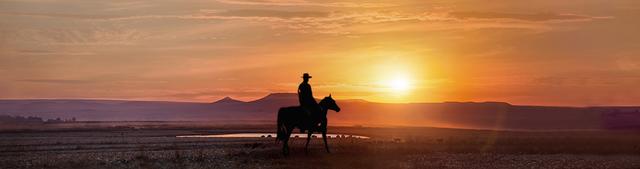 Cowboy in the Sunset