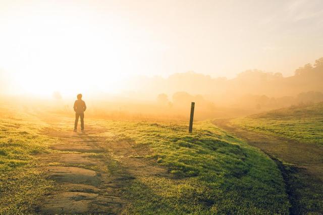 Boy in a field - dawn