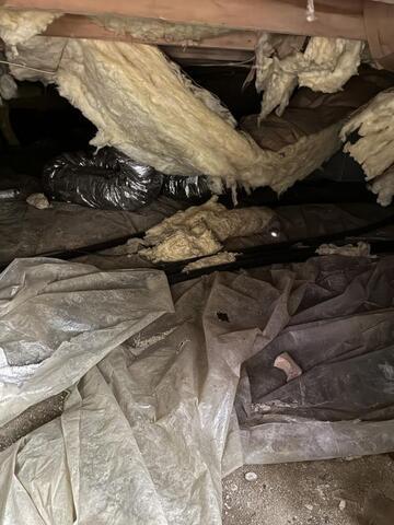Dreading Going Into Your Crawl Space?